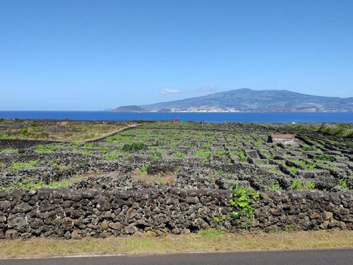 Casa Da Ilha Villa มาดาลีนา ภายนอก รูปภาพ